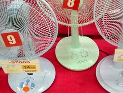 Korean fans closeup.jpg