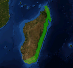 Nepenthes madagascariensis distribution on satelite.png