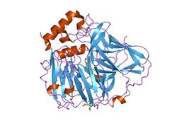 PDB 2fqg EBI.jpg