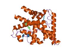 PDB 2ovh EBI.jpg