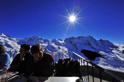 Visitors sitting at tables on a large balcony high in the Swiss Alps, and a chough is perching on a railing beside them.
