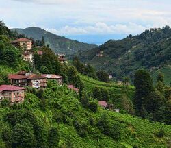 Rize.pic.jpg