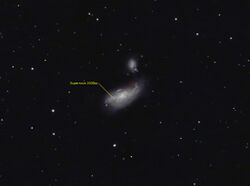 SN2008axHunterWilson.jpg