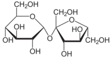 Sucrose is made up of a glucose monomer (left), and a fructose monomer (right).