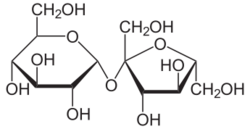 Saccharose2.svg