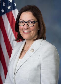 Suzan DelBene, official portrait, 115th Congress.jpg