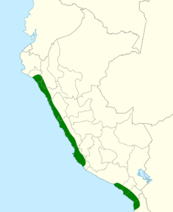 Anthus peruvianus map.svg