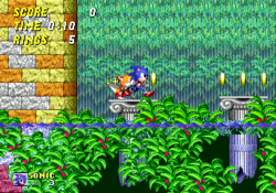 From a side-scrolling perspective, Sonic and Tails hop across pillars from ancient ruins floating in water while collecting golden rings. A waterfall flows behind them and vegetation sits in front of them.