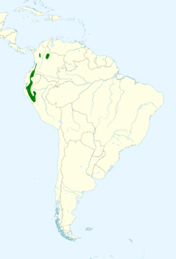 Atlapetes latinuchus map.svg