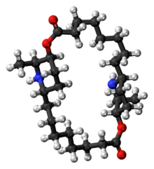 Ball-and-stick model of the carpaine molecule