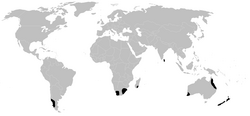 Distribution.pettalidae.1.png