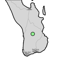 Dudleya rigida range map.png