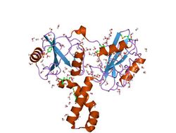 PDB 2oq1 EBI.jpg