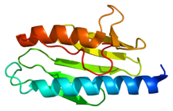 Protein FXN PDB 1ekg.png