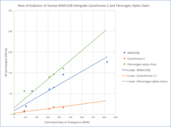 Rate of Evolution FAM155B.png