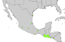 Sabal mexicana range map.png