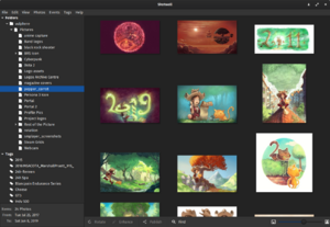 Shotwell 0.30.4 screenshot.png
