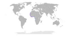 Thalasseus albididorsalis map.svg