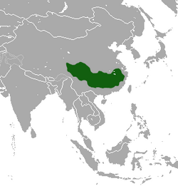 Tibetan Macaque area.png