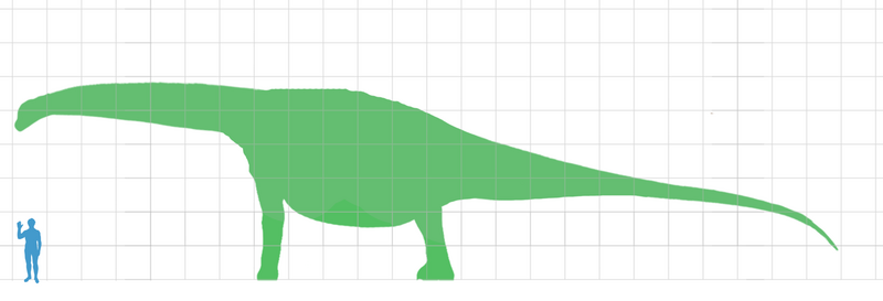 File:Turiasaurus scale.png