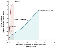 Wikipedia Kevlar Silk Comparison.jpg