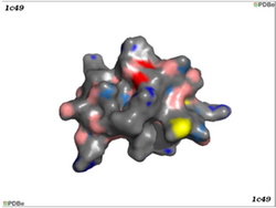 3D Structure of Pi3 Toxin.png