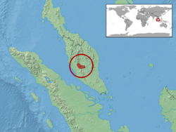 Cnemaspis flavolineata distribution.png