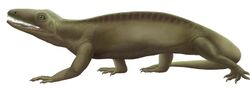 life reconstruction of Echinerpeton intermedium