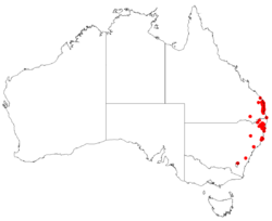 EucalyptusbancroftiiDistributionMap.png