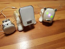 A photo showing the different versions of the iDog toy
