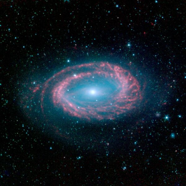 File:NGC 4725.jpg