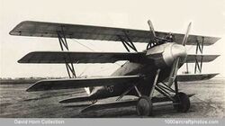 Naglo D.II WW1 aircraft.jpg