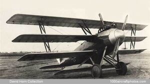 Naglo D.II WW1 aircraft.jpg