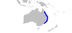 Orectolobus ornatus rangemap.png