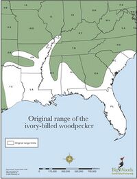 Original range of the ivory-billed woodpecker.jpg