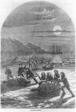 Historic engraving of men catching turtles on a beach