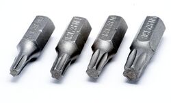 Torx-Bits T15-T20-T25-T30.jpg