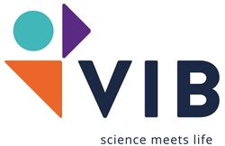 VIB logo.jpg