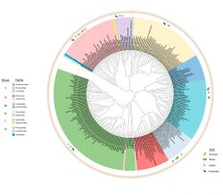 Viruses-12-01010-g001-pdf-crop.jpg