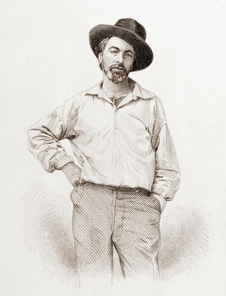 File:Walt Whitman, steel engraving, July 1854.jpg
