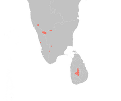 Asian Highland Shrew IUCN map.png