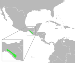 Bufo tutelarius distribution.svg