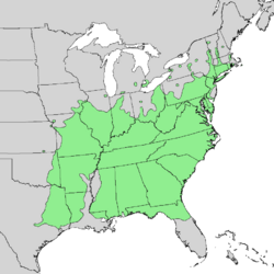 Carya tomentosa range map 1.png