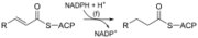 Enoyl-ACP reductase reaction.svg