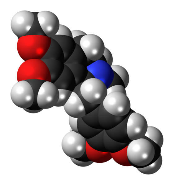 File:Laudanosine molecule spacefill.png