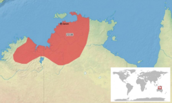 Limnodynastes lignarius map-fr.svg