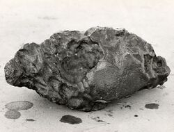 Loreto Meteorite.jpg