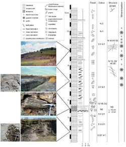 Mangrullo Formation stratigraphic column.jpg