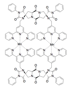 Metal Binding Spiroligomer.png