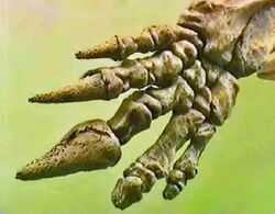 Mylodontidae - Lestodon armatus-001.jpg